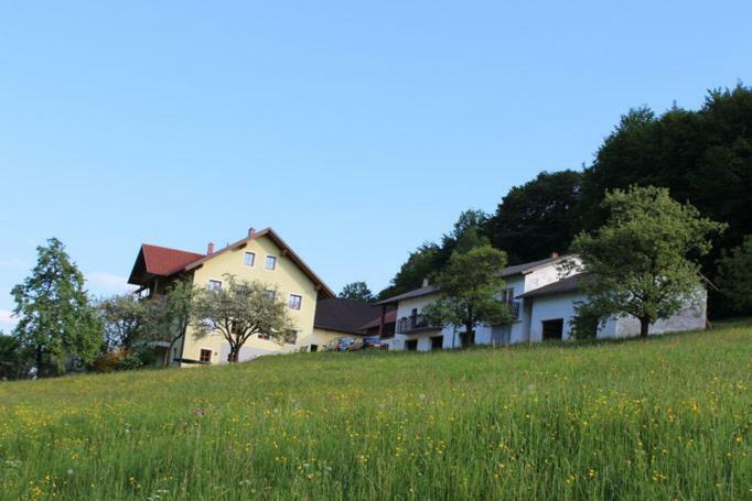 Ferienwohnung Huber Engelhartszell Luaran gambar