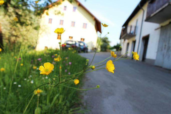 Ferienwohnung Huber Engelhartszell Luaran gambar